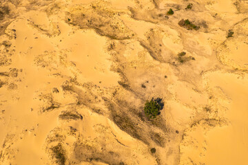 Sandy desert landscape with scattered vegetation patches