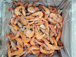 Frozen prawns, seafood in a supermarket refrigerator