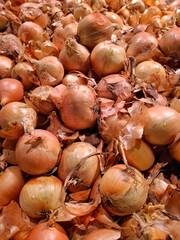 Bulb onion at grocery store. Vegetables on supermarket