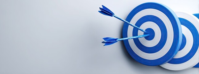 Bulls-eye targets with two arrows, hit center rings in blue/white contrast