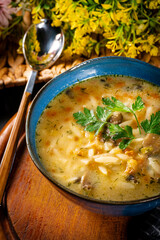 Delicious mushroom soup with dill.