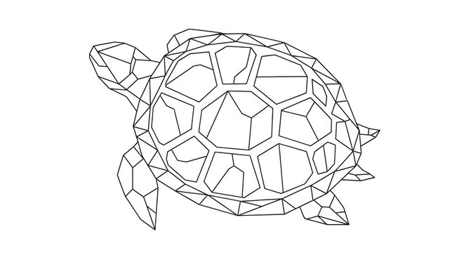 Geometric Wireframe Turtle Silhouette on Black Background polygon low poly