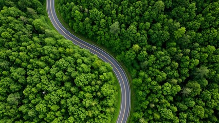 The idea of a healthy environment a road in the center of a forest a road that curves up to a mountain and a rainforest ecology