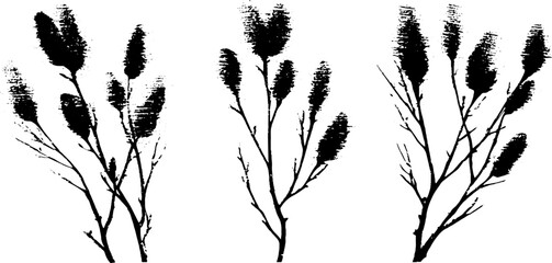 Obraz premium Black and white willow branch stencil art for nature-inspired designs