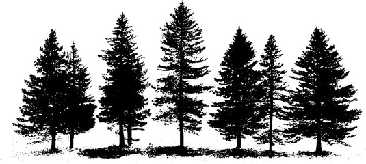 Stylized black and white northern pines silhouette illustration for nature design