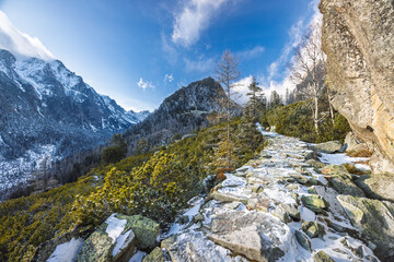 A scenic stone path winds through a mountain landscape, with snow-capped peaks and a bright blue sky in the background. A stunning winter vista. High Tatras National Park, Slovakia, Europe.