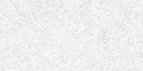 Delicate skeleton leaf texture with intricate vein patterns on a white background