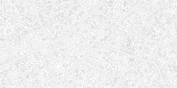 Delicate skeleton leaf texture with intricate vein patterns on a white background