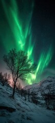 Obraz premium A vibrant aurora borealis lights up the snowy mountainside, showcasing a solitary tree against the starlit sky.