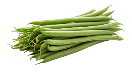 Fresh green beans vegetable harvest raw string beans healthy food ingredient organic produce garden snap legumes diet cooking ingredient