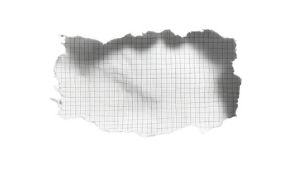 Obraz premium Torn paper with grid lines isolated on transparent background