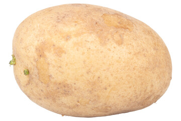 One potato isolated on white background