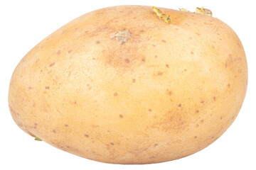 One potato isolated on white background