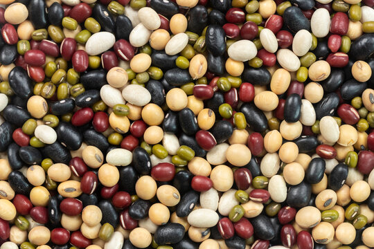Pile of five mixed beans for background. (soybean, azuki bean, mung bean, white kidney bean, black bean)