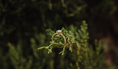 wedding ring hanging from a pine branch