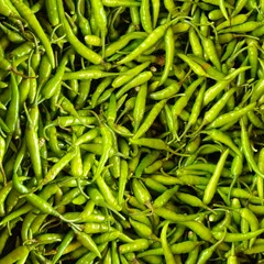 Pile of Bright Green Indian Chillies Close-Up