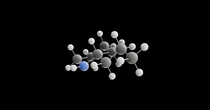 Coniine molecule, rotating 3D model of neurotoxin, looped video on a black background
