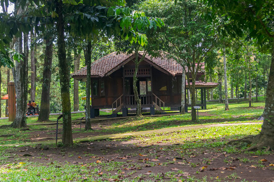 A traditional wooden house stands in a green park, among tall trees, during the day, serving as a cultural spot where visitors can relax and enjoy nature.