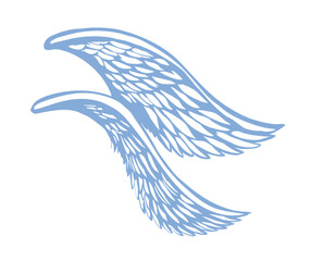 Vector drawing. Two large wings.