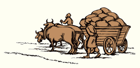 Vector drawing. Ancient cart with cows