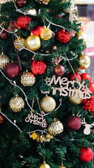 Christmas decorations on the tree