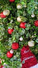 Christmas decorations on the tree