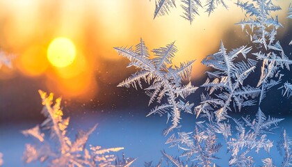 Frosty Window Patterns with Golden Sunrise.