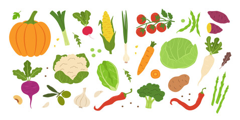 Fresh vegetables. Healthy food for organic cooking or vegan diet with natural produce and garden ingredients. Corn and tomato, carrot and lettuce for harvest or nutrition concept, vegetarian poster