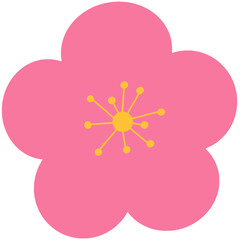 pink flower on a blue background