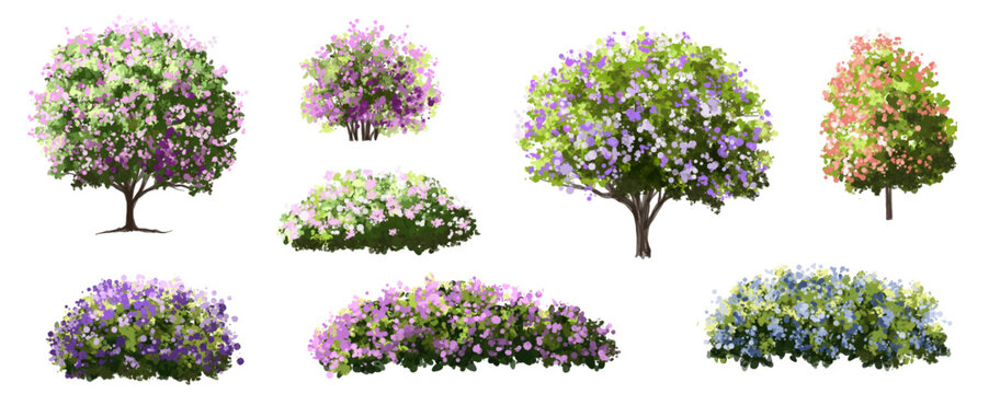 Vertor set of spring blossom tree,bloomimg plants side view for landscape elevation and section,eco environment concept design,watercolor illustration,colorful season