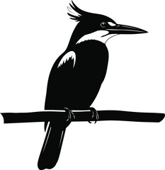 Kingfisher Bird Perched Silhouette Vector