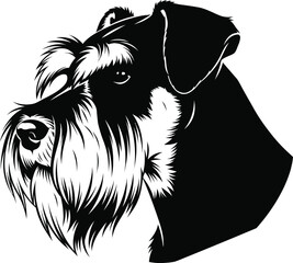 Schnauzer Dog Head Portrait Illustration