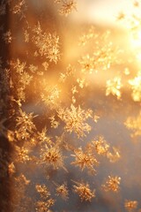 Frost patterns on glass glowing in warm winter sunrise