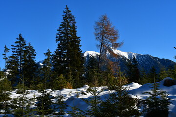 Sch&ouml;ne Landschaft bei Seefeld in Tirol