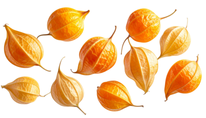 Floating Cape Gooseberries Collection PNG Background.