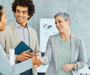 portrait of  a young beautiful businesswoman and businessman shaking hands introducing each other in the office