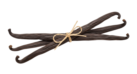 Vanilla Bean Trio: A trio of vanilla bean, elegantly tied with twine, sits poised to infuse a gourmet creation with its aromatic essence.