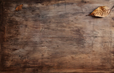 Potted Plants on Rustic Wood Background