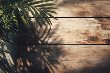Potted Plants on Rustic Wood Background