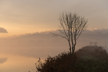Wschód słońca zimą n Śląsku, z Beskidami w tle.  © Elżbieta Kaps