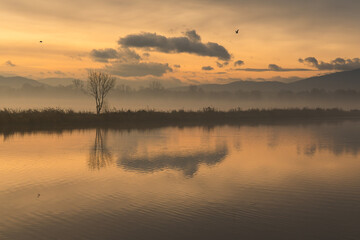 Piękny malowniczy wschó słonca nad wodą.  © Elżbieta Kaps