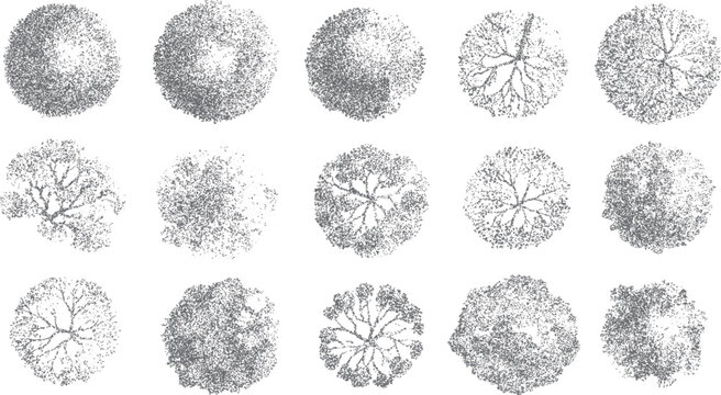 Fifteen grey abstract textured circular shapes resembling tree canopies viewed from above in a grid layout