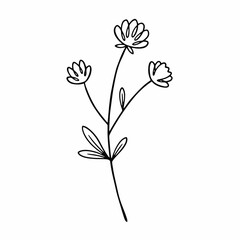 A minimalist black and white line art drawing of a delicate wild flower with three small blossoms and leaves on a slender stem.