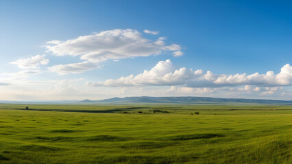 Fototapeta premium Dramatic Coastal Ridge: Green Cliffs and Ocean Light