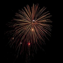 Explosions of golden fireworks bloom in the dark night sky.