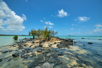 A beautiful idyllic seascape of Mauritius showcasing crystal-clear turquoise waters, gentle waves, and a serene tropical atmosphere. The scene reflects the island&rsquo;s natural beauty, calm ocean tones