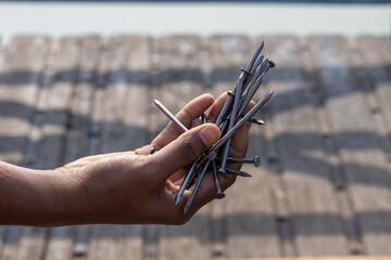 Close-up of a female hand holding a handful of galvanized, common wire nails (sinker-coated steel nails) with flattened heads and sharp points, ready for construction or DIY home repair.