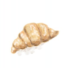 detailed watercolor vector illustration of a fresh gourmet croissant