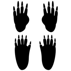 porcupine footprint, front and back paws.