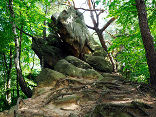 Diabli Kamień w Szczyrzycu to imponujący pomnik przyrody nieożywionej, kolosalna skała piaskowcowa będąca ostańcem, o której krążą legendy, że upuścił ją diabeł.